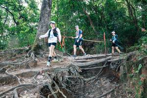 BIB: 
                            <button type="button" onclick="openModal(27721270)" class="btn btn-primary btn-sm float-right btn-popup" data-toggle="modal" data-target=".modal-high-quality">
                        <i class="fas fa-shopping-cart"></i> Add to Cart
                    </button>
                                            <button type="button" onclick="isThisMe(27721270, true)" class="btn btn-success btn-sm float-right btn-popup btn-isme hidden" data-toggle="tooltip" data-placement="bottom" title="นี่คือรูปของคุณใช่ไหม คลิกที่นี่เพื่อเอาเข้าอัลบั้ม">
                        <i class="fas fa-plus"></i> Add to album
                    </button>
                    <button type="button" onclick="isThisMe(27721270, false)" class="btn btn-warning btn-sm float-right btn-popup btn-isnotme hidden">
                        <i class="fas fa-ban"></i> Remove from album
                    </button>